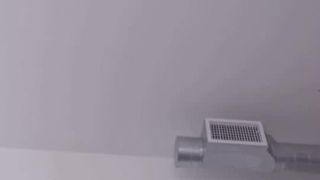 alexa 21112019