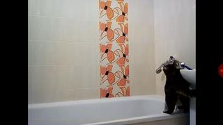 Ula2015-ты не интересна даже голая))))))