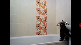 Ula2015-ты не интересна даже голая))))))