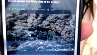 theemilygrey, spanking