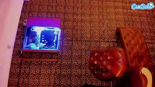 Elettraa webcam show 2019-11-23_18-01-26_668