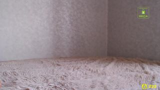 :firefox__1203-2019 ( Curvy beauty )