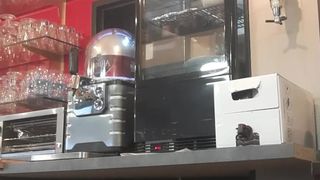 Liliesoft webcam show 2019-11-23_08-51-30_257