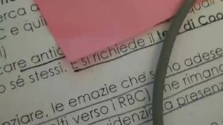 Arteria_ webcam show 2019-11-25_10-21-38_262