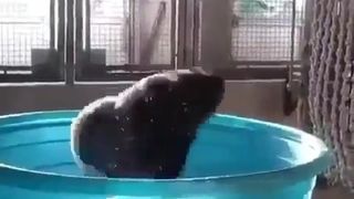 Hot babe dancing in pool