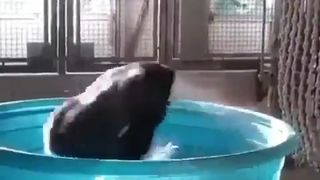 Hot babe dancing in pool