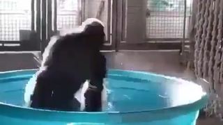 Hot babe dancing in pool