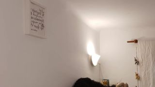 Barbiegirl5 webcam show 2019-11-22_19-27-51_216