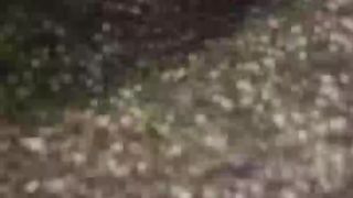 Lalyhot01 webcam show 2019-12-04_08-23-23_947