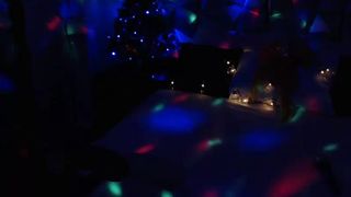 Melanihopper webcam show 2019-12-10_22-41-54_418