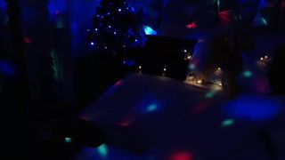 Melanihopper webcam show 2019-12-10_22-41-54_418