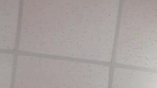 Dzintars_fun webcam show 2019-12-09_16-10-32_361