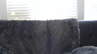 MFC MissTetra Sexy Tease