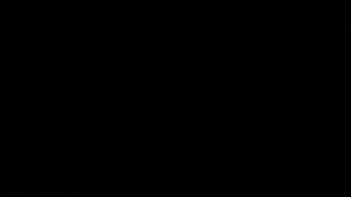 Leonessafree webcam show 2019-12-14_16-11-16_793