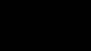 Leonessafree webcam show 2019-12-14_16-11-16_793