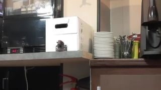 Liliesoft webcam show 2019-12-11_08-28-56_712