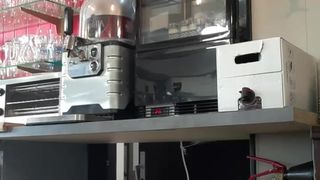 Liliesoft webcam show 2019-12-11_11-13-13_406