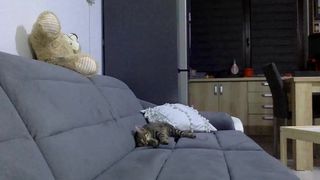 Giuly21 webcam show 2019-12-16_00-54-20_338