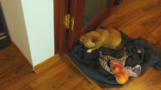 Merilyn after boobjob - what a shame