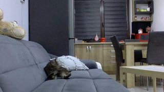 Giuly21 webcam show 2019-12-16_02-33-23_762