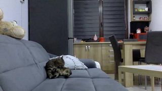Giuly21 webcam show 2019-12-16_02-33-23_762