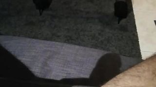 Redvelvetcpa webcam show 2019-12-16_01-17-39_314