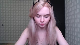 adorable milky body kitten