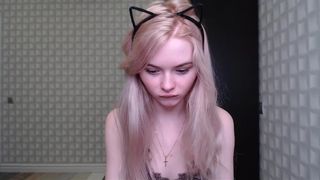 adorable milky body kitten