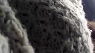 Lolisarah webcam show 2019-12-19_12-35-57_649