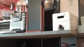 Liliesoft webcam show 2019-12-18_09-34-58_628