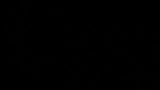 Leonessafree webcam show 2019-12-19_12-03-36_115