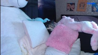 liisppb_2019-11-30 2