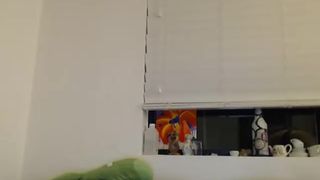 alicen0 27