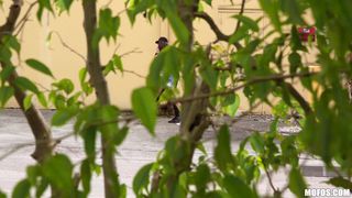 Ashly Anderson Arrested 1080