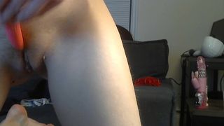 butterflygrl1-2019-12-26