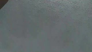 C4_nohumo_April-26-2019