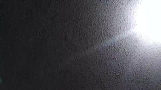 C4_nohumo_April-19-2019