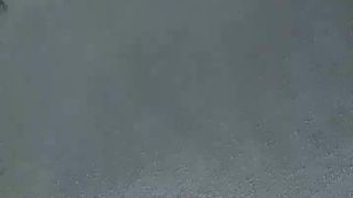 C4_nohumo_April-16-2019