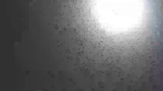 C4_nohumo_April-16-2019