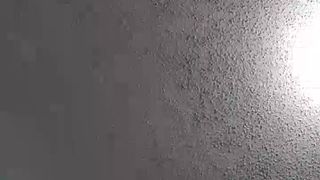 C4_nohumo_April-16-2019