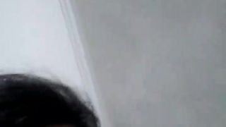 C4_nohumo_April-04-2019