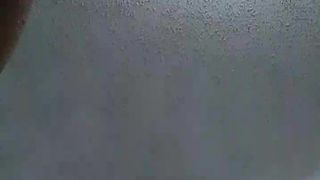 C4_nohumo_April-04-2019