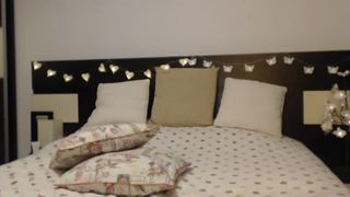 Wild Kittycat - 2019-01-13