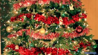 Kati3kat Jingle Bells