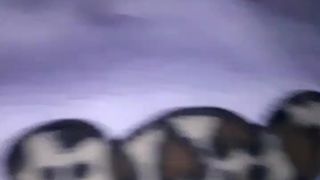 Leonessafree webcam show 2019-12-21_05-49-51_899