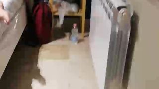 Redvelvetcpa webcam show 2019-12-22_23-48-49_618