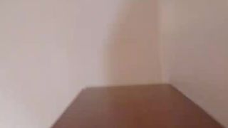 Stefy88 webcam show 2019-12-20_12-08-52_952