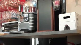 Liliesoft webcam show 2019-12-20_09-45-56_939