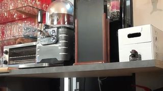 Liliesoft webcam show 2019-12-20_09-45-56_939