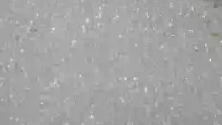 Msgiulia webcam show 2019-12-20_14-26-08_423